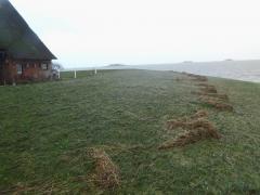 Treibsel am Warftrand