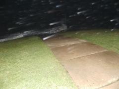Regen im Orkan